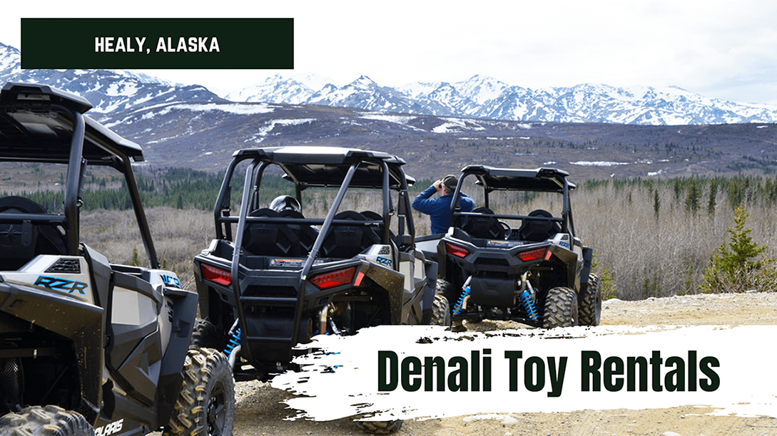 Rent an ATV at Denali Toy Rentals Alaska