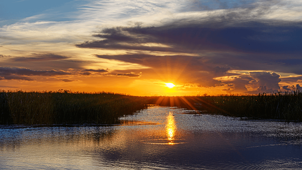 Visit Everglades National Park